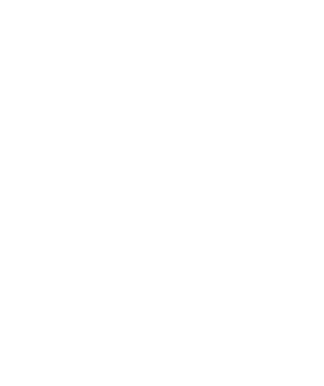Curtis King Jr.